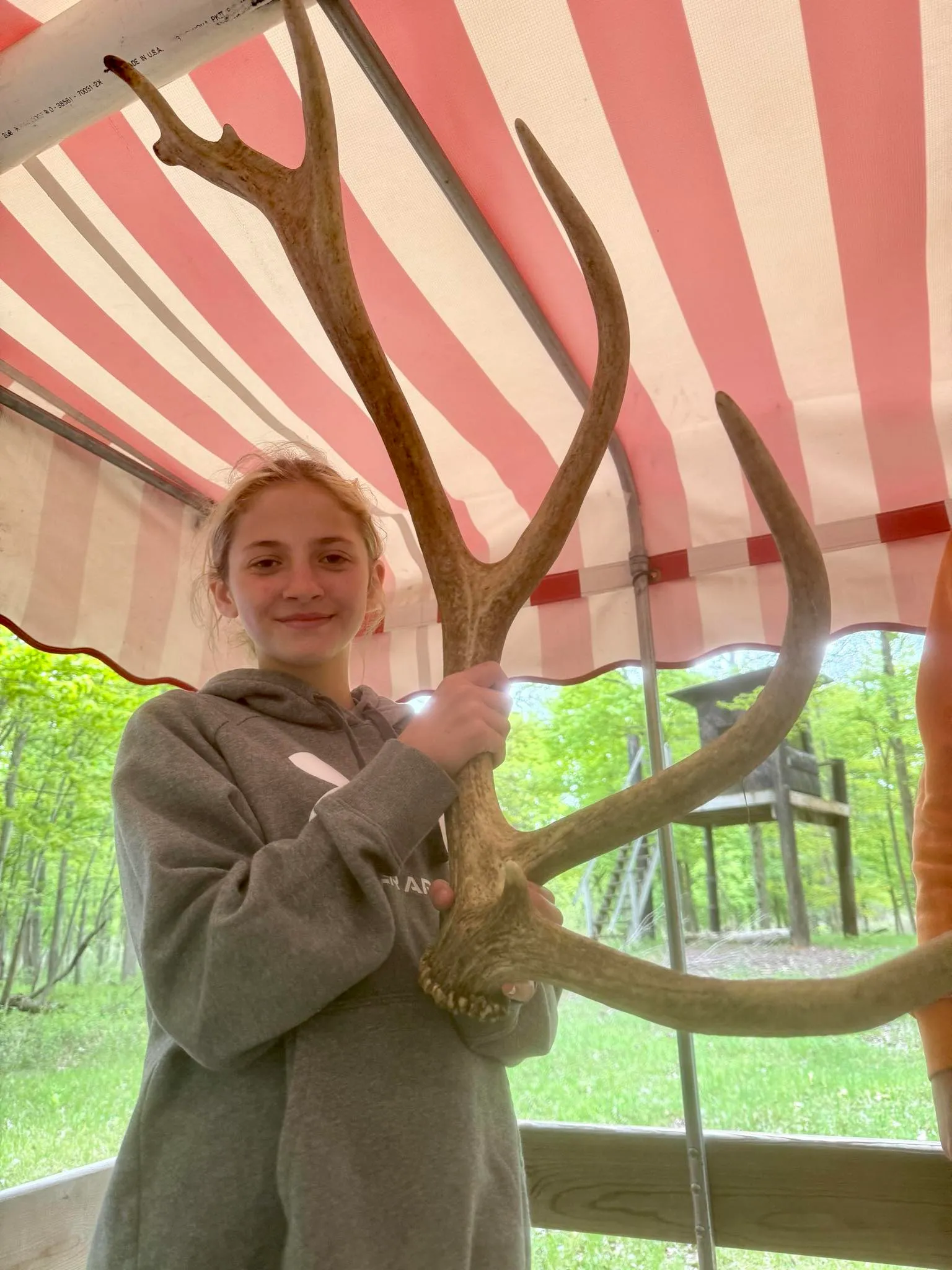A young visitor holding a massive shed elk antler, showing the scale of the bulls at the ranch