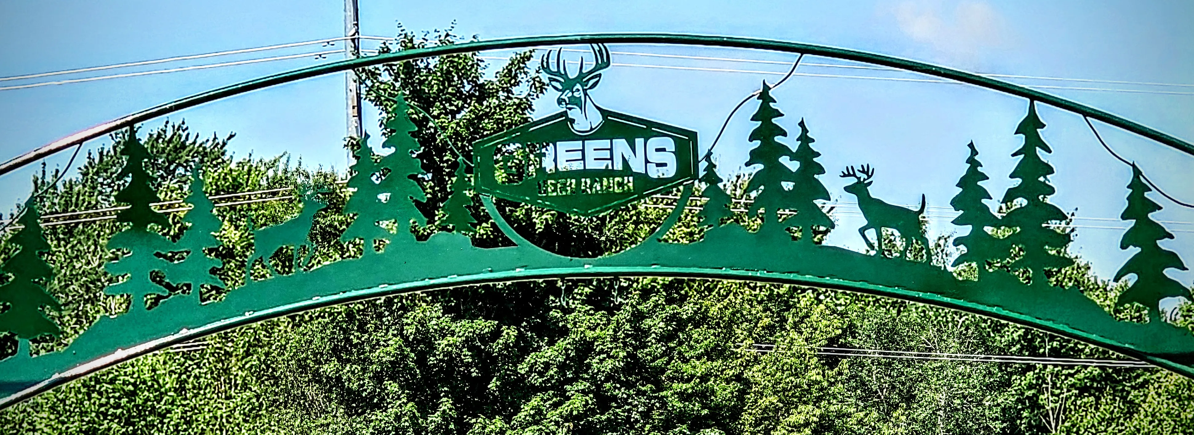 The green metal archway entrance sign at Green's Deer Ranch, with whitetail deer silhouettes and tree cutouts spelling out the ranch name