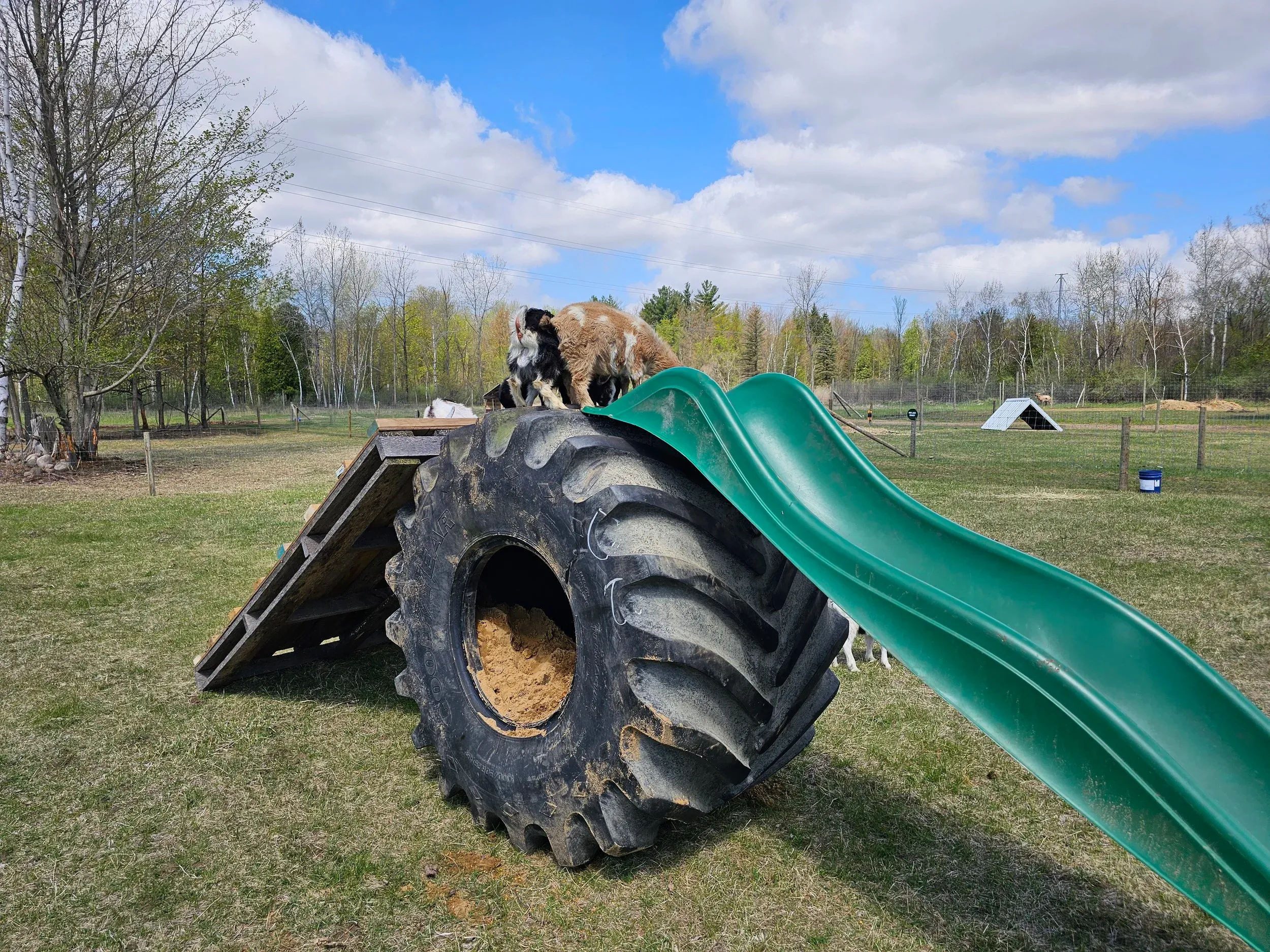 Children climbing on a large tractor tire attached to a slide at Green's Deer Ranch playground in Caro, Michigan
